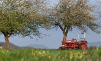 Hirrlingen (Kreis Tuebingen) Schmuckbild / Wetterbild: Traktor unterm Apfelbaum