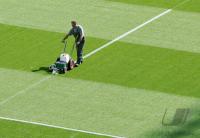 Fussball WM 2006: Finale, 24 Std. Reportage