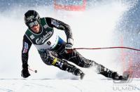 Ski Alpin  Herren Abfahrt Wengen