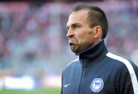 Fussball 1. Bundesliga, Saison 2011/2012:  Trainer  Markus Babbel  (Hertha BSC Berlin)