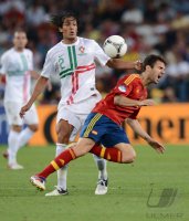 Fussball International Europameisterschaft 2012, Halbfinale: Portugal - Spanien