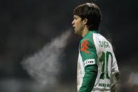 Fussball, 1. Bundesliga: Bremen - Wolfsburg