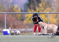 Fussball Frauen Landesliga  2021/2022
