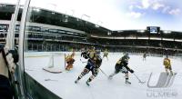 Eishockey SCL Tigers - SC Bern