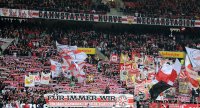Fussball 1. Bundesliga  Saison 2011/2012 : VfB Stuttgart Fans