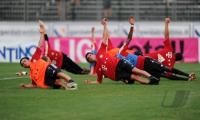 Fussball 1. Bundesliga: Danijel Pranjic, Jose Ernesto Sosa (v. li., FCB)