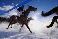 White Turf  St. Moritz 2010