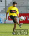 1. Bundesliga  BVB Ferndndez