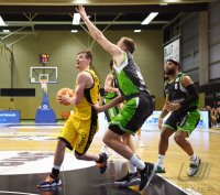 Basketball 2. Bundesliga 2020/2021: Tigers Tuebingen - Tigers Tuebingen - Gladiators Trier