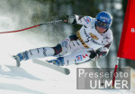 SKI   Weltcup Abfahrt Mnner Johan Grugger (AUT)