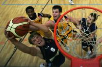 Basketball Walter Tigers Tuebingen - Alba Berlin