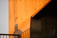 Fussball Frauen FIFA U 20  WM  2008      Vorrunde 