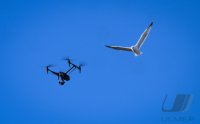 Papstwahl / Konklave:Drohne fliegt ueber den Petersplatz
