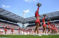 Fussball 1. Bundesliga: 1.FC Koeln - Eintracht Frankfurt