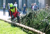 Hochschule Forstwirtschaft Rottenburg Waldwirtschaft 4.0: Digitalisierung im Prozesse der Holzernte