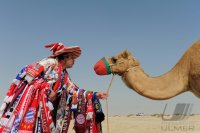 Fussball 1. Bundesliga 11/12:  FC Bayern  Fan in der Wueste bei Doha