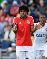 Fusball FIFA 76. Blue Stars 2014 / FIFA Youth Cup: Hilberto Pereira (Benfica Lissabon)