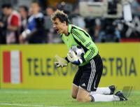 FUSSBALL EURO 2008 FINALE: Deutschland - Spanien