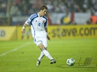 Fussball WM  2010  Qualifikation: Slowakei - Slowenien