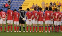 Fussball AFC Asian Cup 2011:  Australien - Korea
