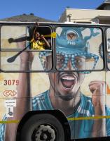 FUSSBALL WM 2010  RSA Fans