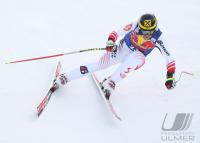 Ski-Alpin, 16.01.2008, Abfahrtstraining Kitzbuehel