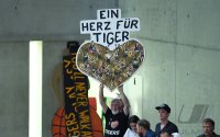 Barmer 2. Basketball Bundesliga  18/19: Tigers Tuebingen - Nuernberg Falcons BC