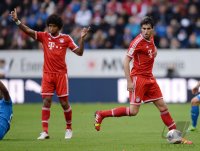 Fussball  1. Bundesliga  13/14: TSG 1899 Hoffenheim - FC Bayern Muenchen