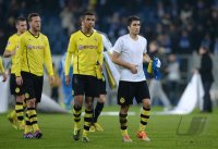 Fussball  1. Bundesliga  13/14: Enttaeuschung Borussia Dortmund