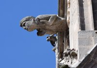 Dom in Rottenburg / Dioezese Rottenburg - Stuttgart