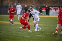 FUSSBALL WFV Pokal 2024/2025
Viertelfinale, SSV Reutlingen - TSG Balingen