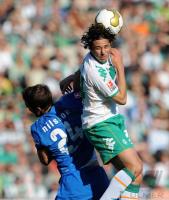 FUSSBALL 1. BUNDESLIGA: Bremen - Hoffenheim