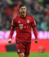 Fussball 1. Bundesliga Saison 15/16: TSG 1899 Hoffenheim - FC Bayern Muenchen
