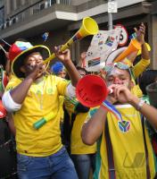 FUSSBALL WM 2010  RSA Fans