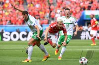Fussball Europameisterschaft Achtelfinale 2016: Wales - Nordirland