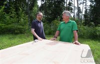 Linden Dom Horb - Altheim (Kreis Freudenstadt)