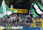 2. Bundesliga  VfB Fan in Reutlingen