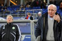 FUSSBALL, 1. BUNDESLIGA, 20. Spieltag: Hamburg - Wolfsburg