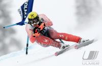 Ski Alpin  Herren Lake Louise  CAN