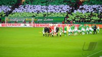 Fussball, 1. Bundesliga  Saison 2013/2014: SV Werder Bremen - Bayer 04 Leverkusen