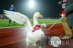 Fussball 2. Bundesliga: Oberhausen - Karlsruhe, Maskottchen Luzy