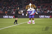 Fussball International Frauen Laenderspiel: Schweiz - Deutschland