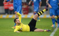 Fussball  1. Bundesliga  13/14: TSG 1899 Hoffenheim - Borussia Dortmund