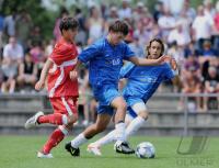 FUSSBALL  2009/2010  U 17 Junioren Bundesliga Sued/ Suedwest