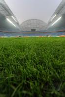 OLYMPIA 2008  Peking Fussball in Shenyang