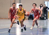 NBBL Basketball SV03 Tuebingen Young Tigers