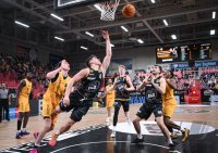 Basketball 2. Bundesliga 24/25: Tigers Tuebingen - Bozic Estriche Knights Kirchheim