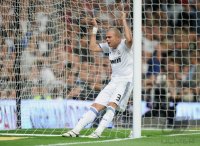 FUSSBALL International Primera Division 10/11:  Pepe (Real Madrid)