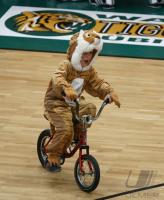 Bsaketball 1. Bundesliga Walter Tigers Tuebingen 57-66 Artland Dragons  