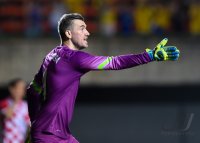 Fussball International Testspiel: Torwart Stipe Pletikosa (Kroatien)